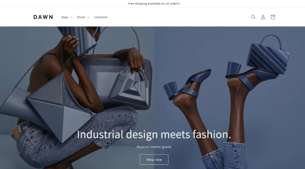 free shopify themes